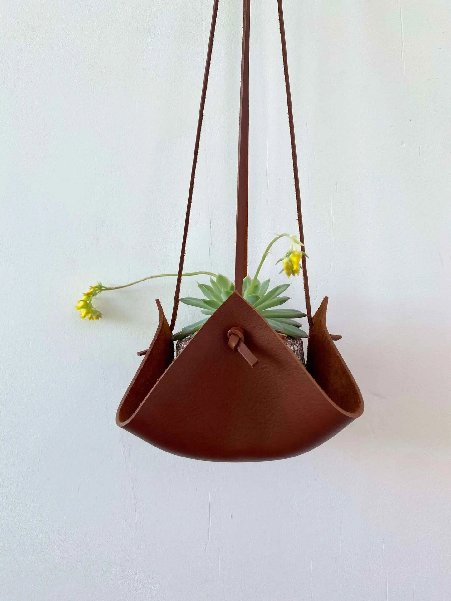 Nyla Leather House Plant Hanger in tan, handcrafted with sustainable vegetable-tanned leather, displaying a potted succulent.